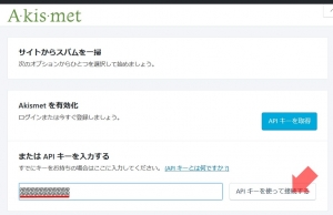 Akismet API Keyをペースト｜｜Akismet Anti-Spamプラグイン